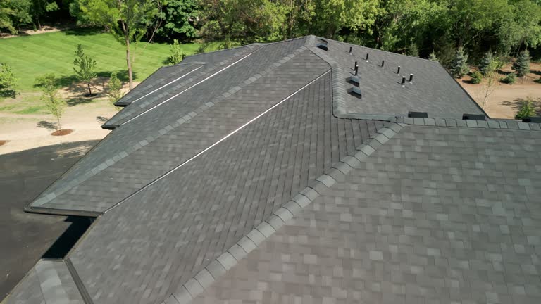 Best Solar Panel Roofing Installation  in Candler Mcafee, GA